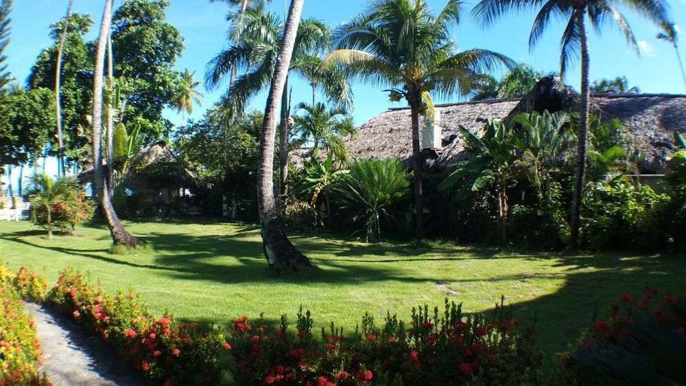 Villa Chiara Las Terrenas Exterior foto